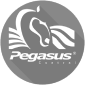 logotipo pegasus control